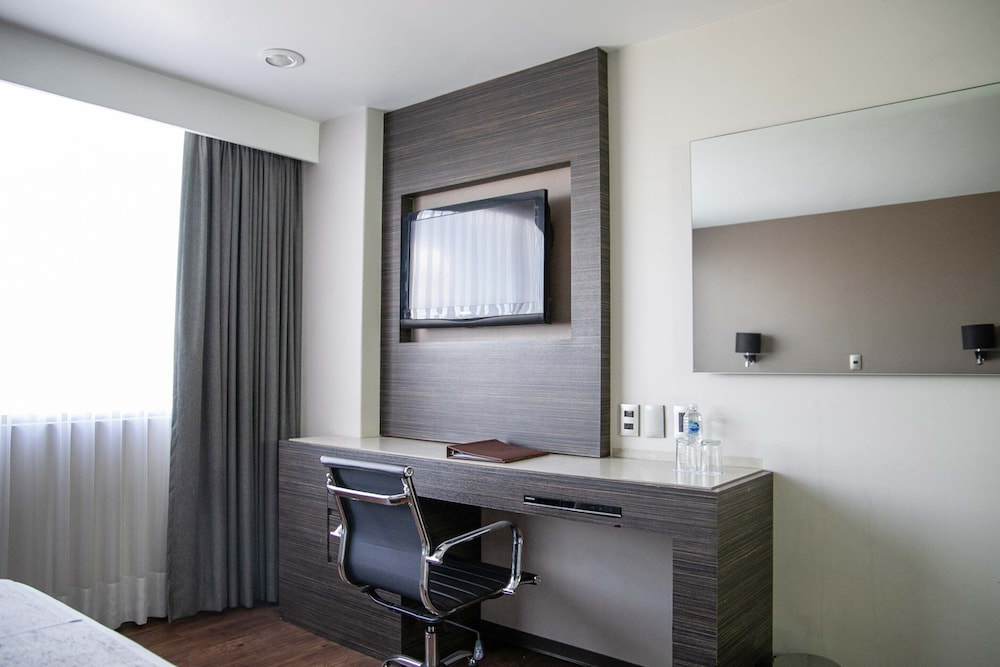 Economy Room (SIN AIRE ACONDICIONADO) photo 3