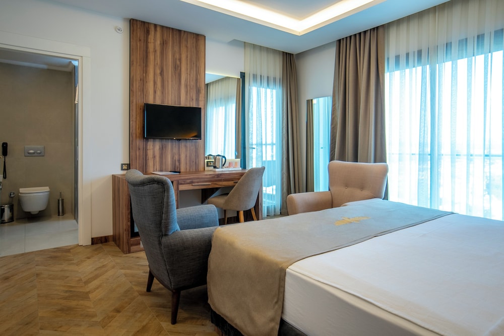 Standard Room, Black, without Balcony photo 2