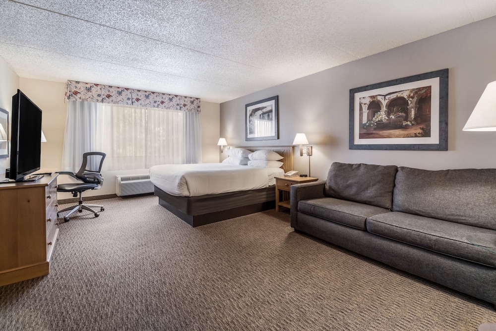 Executive Room, 1 King Bed - Photo 1