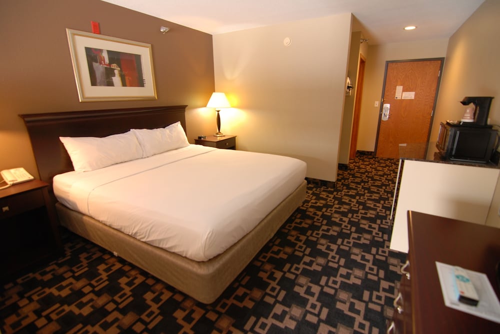 Standard Room, 1 King Bed, Non Smoking photo 1