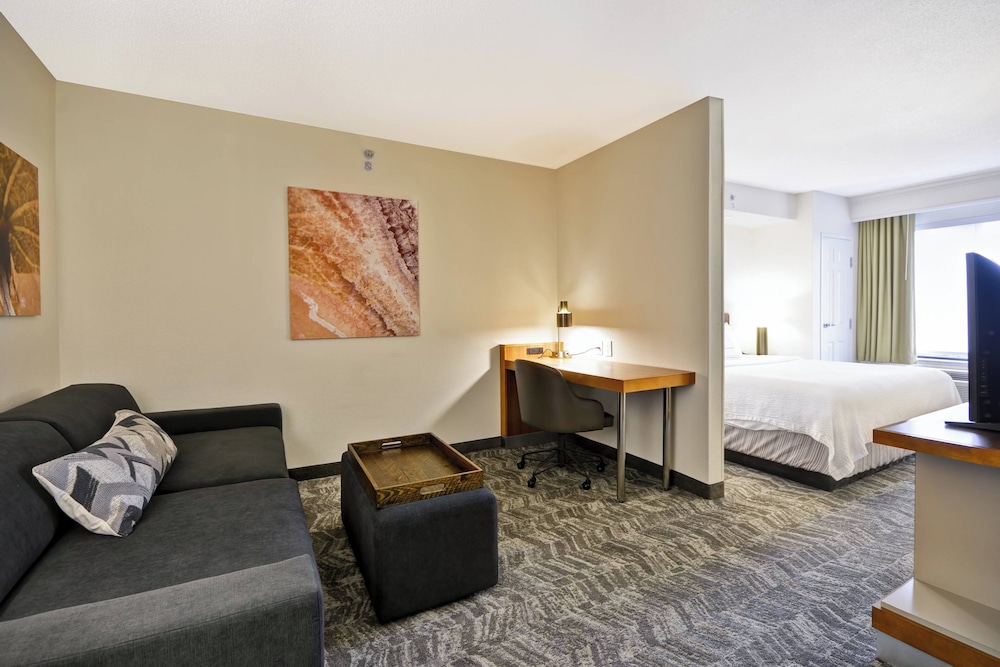 Suite, 1 King Bed (Hearing Accessible) - Photo 1