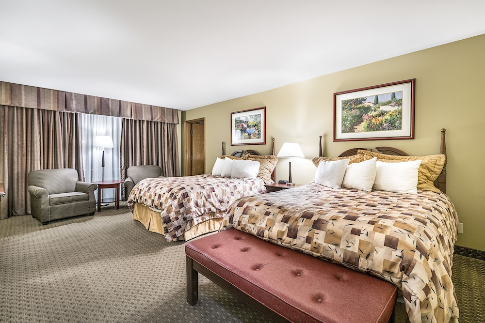 Suite, Multiple Beds