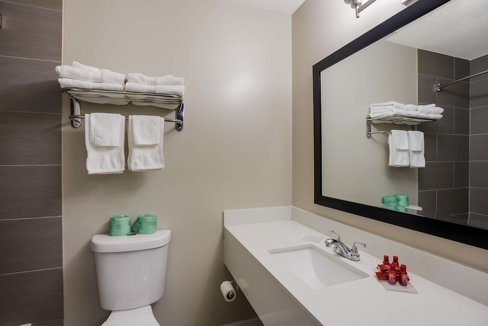 Standard Room, Multiple Beds, Non Smoking, Refrigerator & Microwave (with Sofabed) - Photo 9