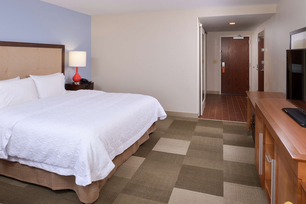 Room, 1 King Bed, Accessible photo 2