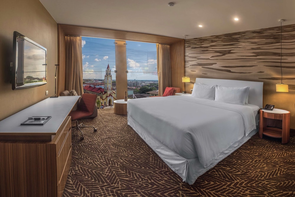 Deluxe Suite, 1 King Bed photo 1