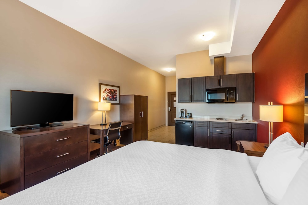 Standard Room, 1 King Bed, Non Smoking, Kitchen (Larger Room;with Sofabed) photo 3