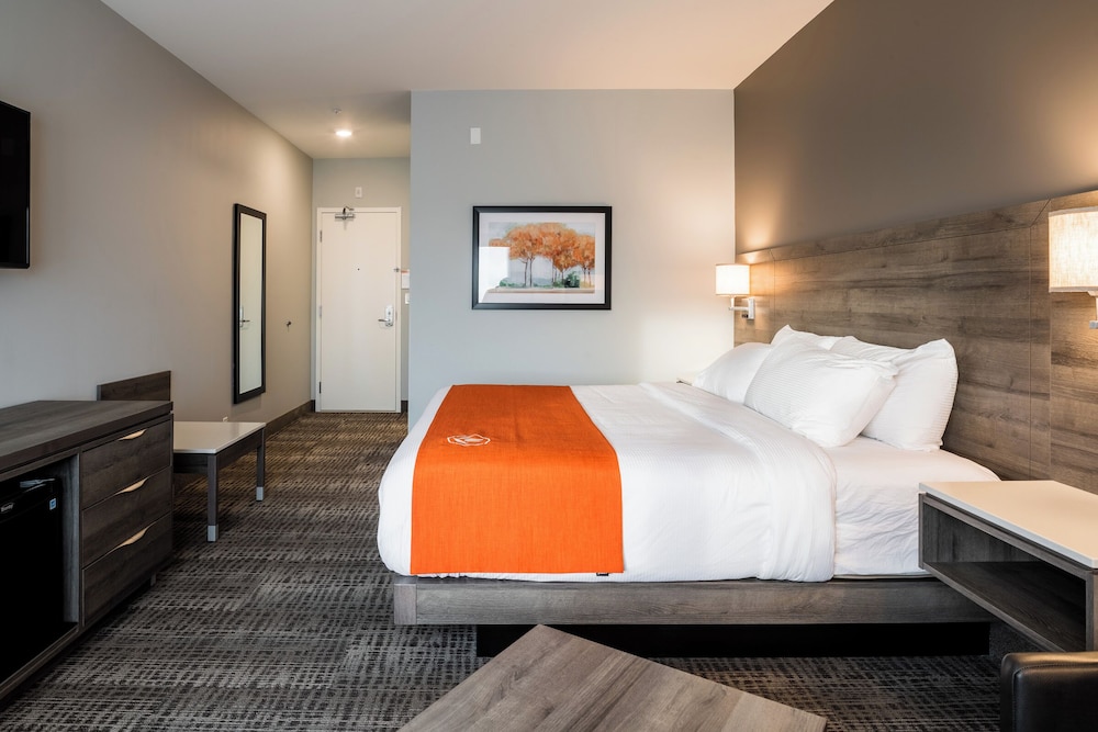 Standard Room, 1 King Bed, Non Smoking photo 2