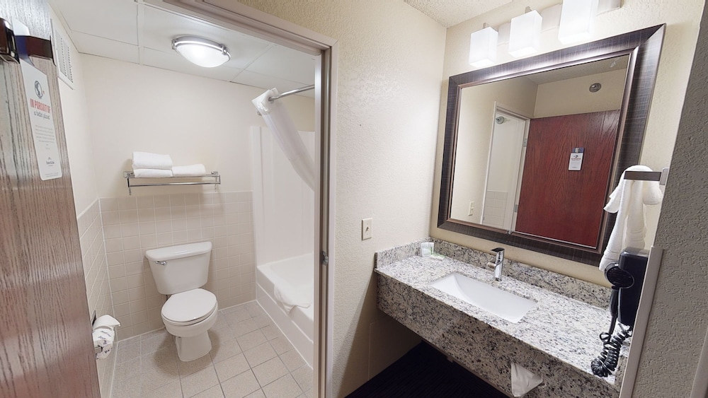 Premier Suite, 1 King Bed, Non Smoking (One-Bedroom Suite) - Photo 5