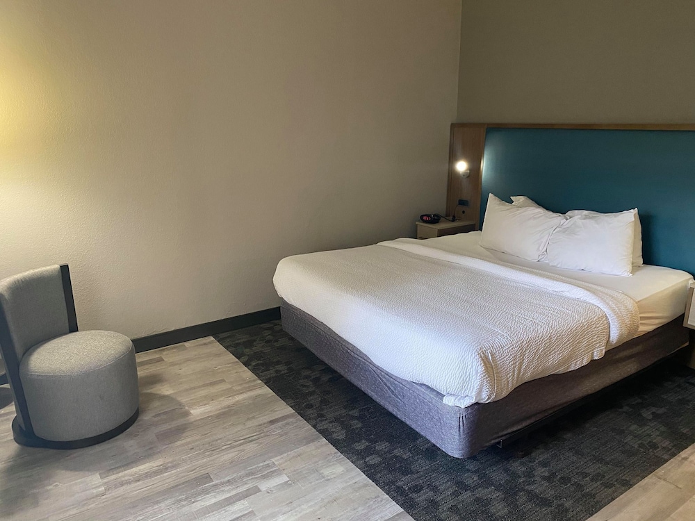 Suite, 1 King Bed with Sofa bed (Mobility/Hearing Access, Transf Shwr)
