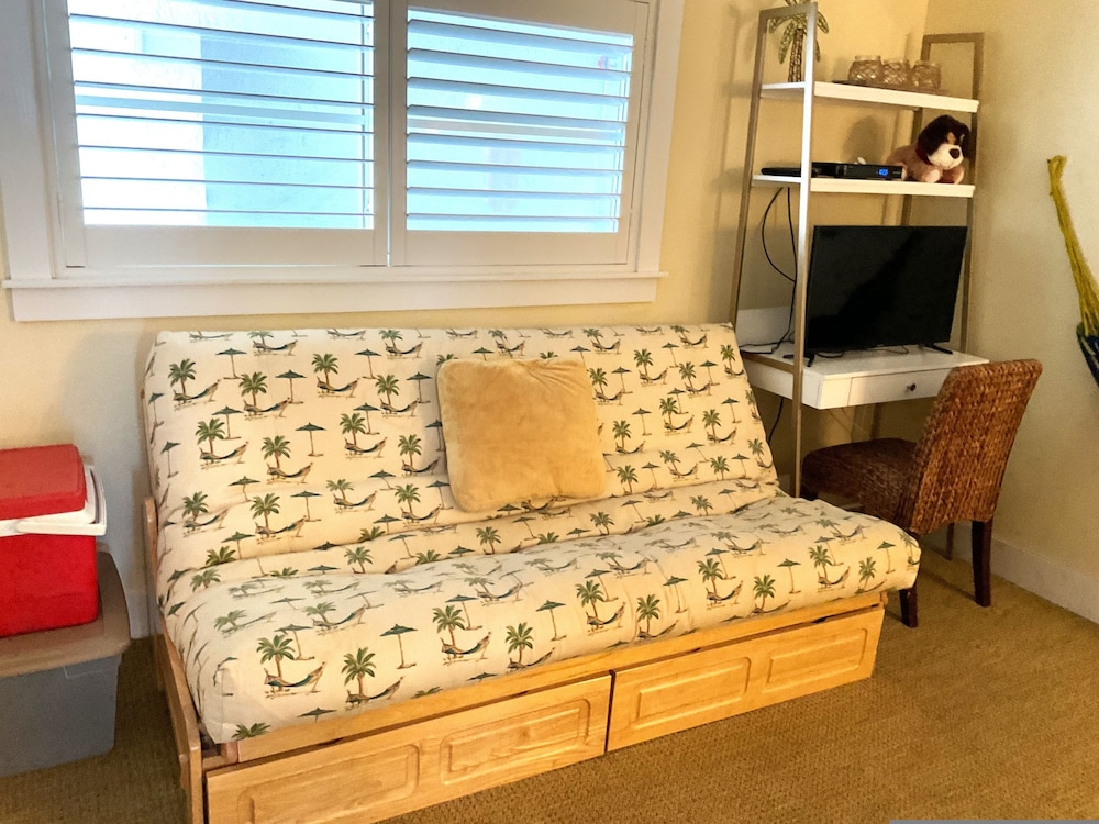 Oceanfront 2 seng 2 bad lejlighed New Smyrna Beach, Billede 29