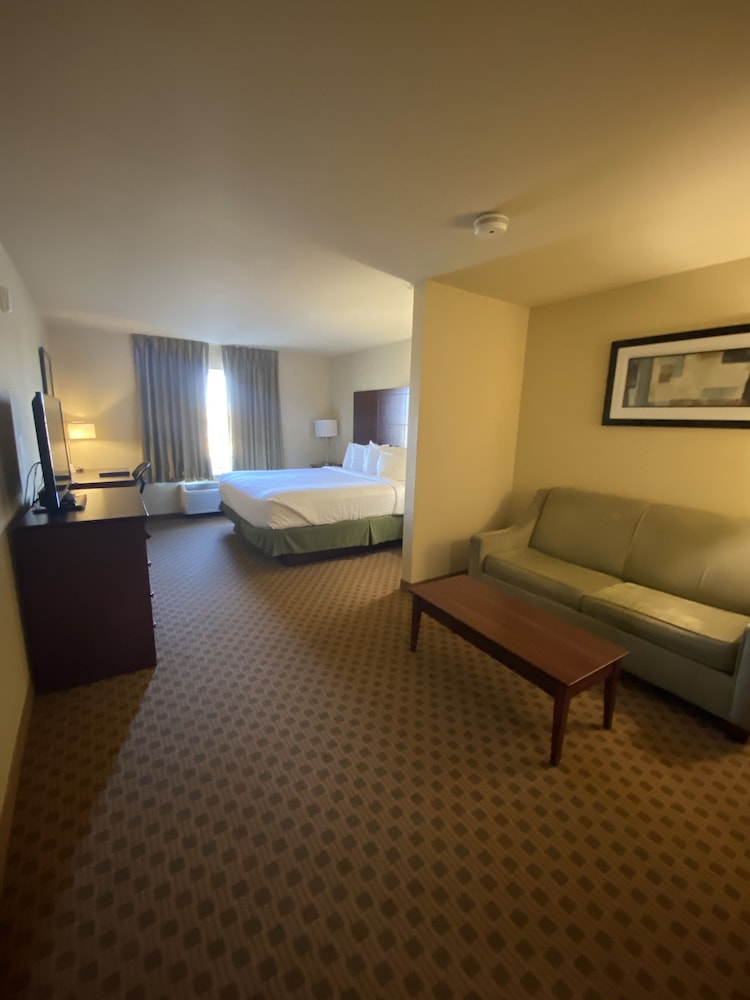 Suite, 1 King Bed, Non Smoking photo 1