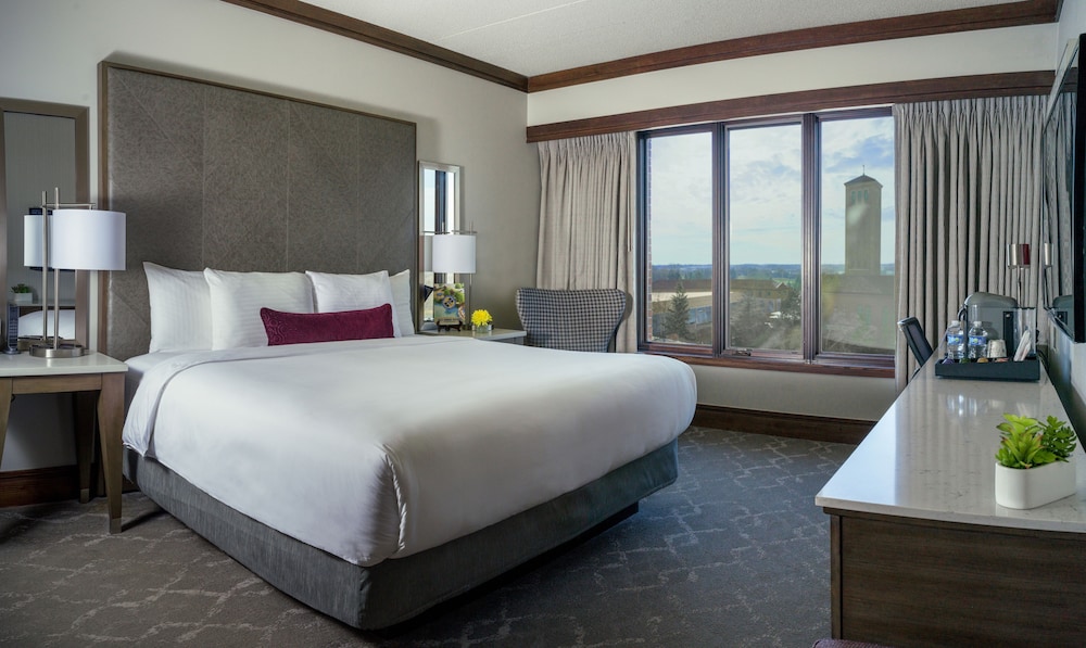 Deluxe Room, 1 King Bed photo 1