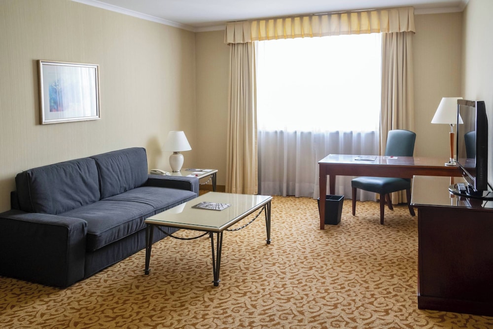 Suite, 1 King Bed with Sofa bed
