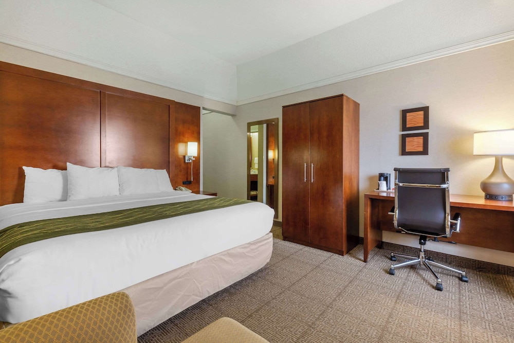 Standard Room, 1 King Bed, Non Smoking - Photo 4