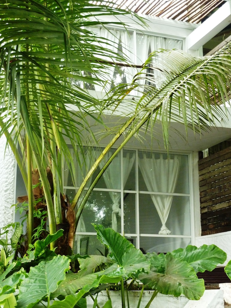 Standard Room, Garden View photo 3