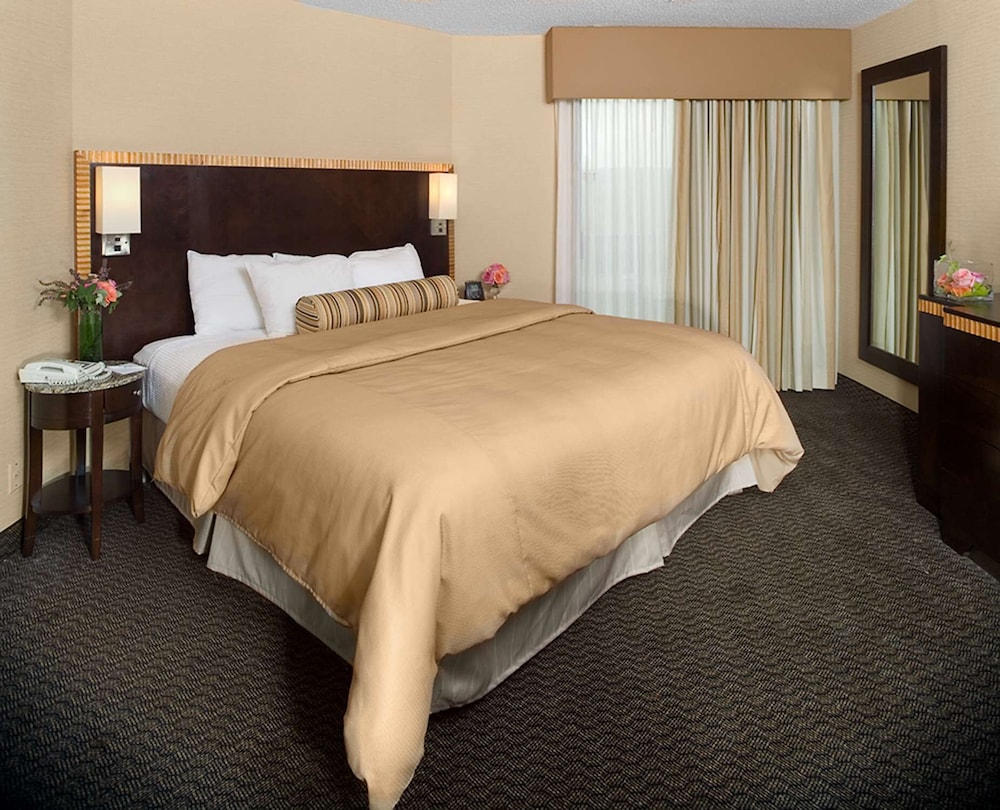 Suite, 1 King Bed, Accessible, Non Smoking - Photo 4