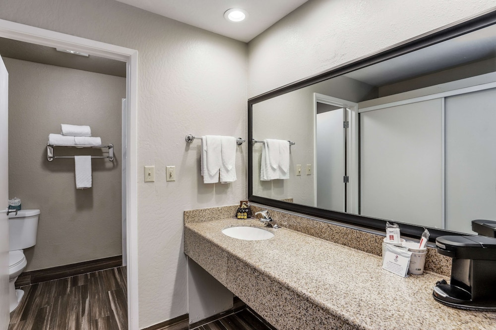 Suite, 1 King Bed, Non Smoking, Refrigerator & Microwave (with Sofabed) - Photo 4