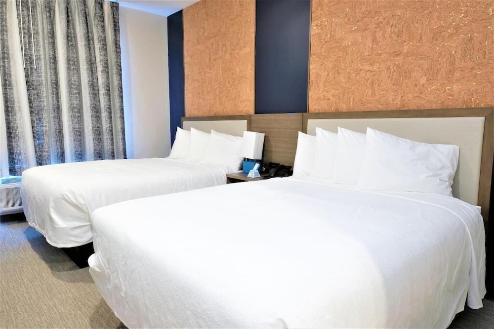 Comfort Double or Twin Room photo 1