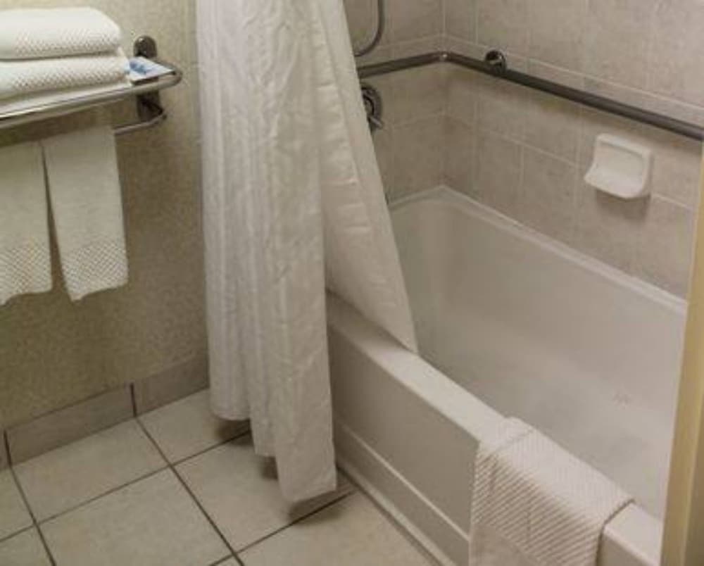 Room, 1 King Bed, Accessible (Mobility & Hearing, Roll-in Shower) - Photo 8