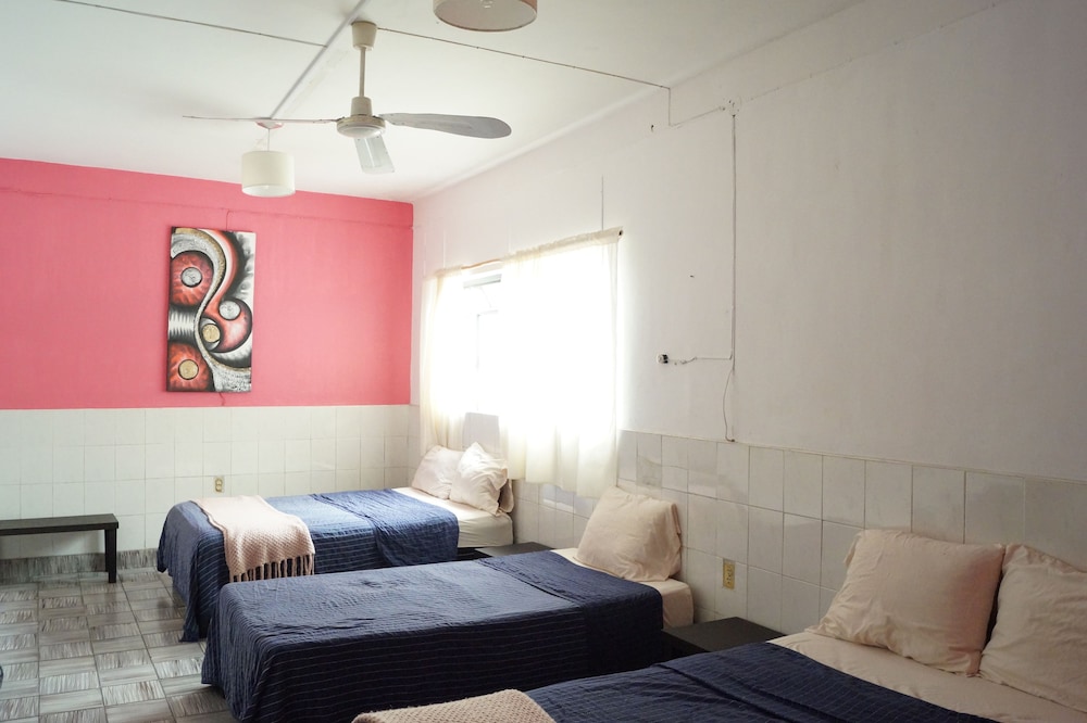 Room, Multiple Beds photo 1