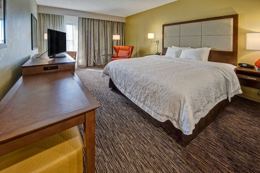 Room, 1 King Bed, Accessible, Non Smoking (Mobility & Hearing, Roll-in Shower) - Photo 4
