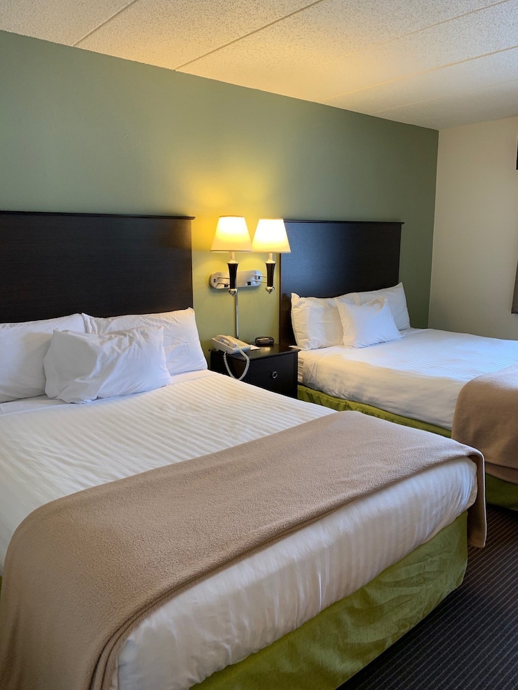 Room, 2 Queen Beds, Non Smoking (Pet-Friendly) photo 1