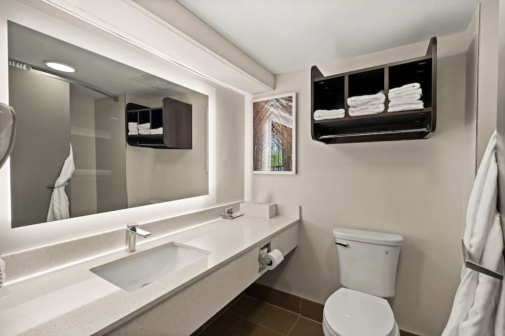 Junior Suite, 1 King Bed, Non Smoking (with Sofabed) - Photo 4