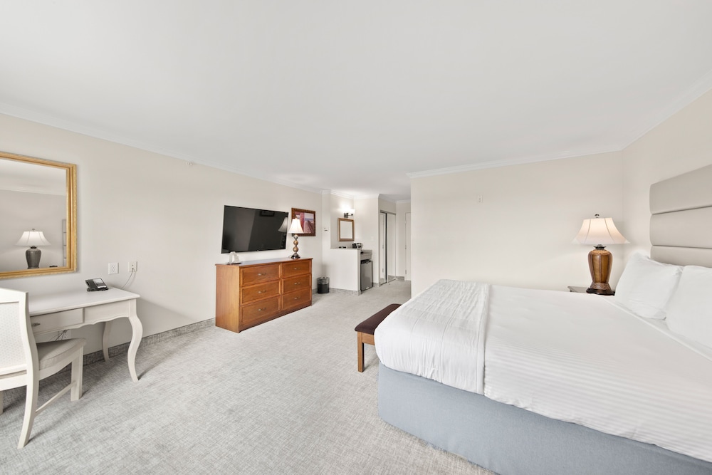 Deluxe Room, 1 King Bed, Lake Ave. (with Shower)