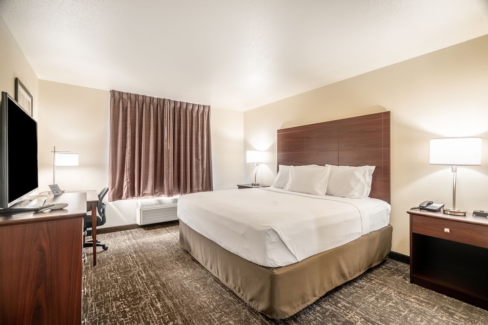 Room, 1 King Bed, Non Smoking (Audible/Visual) - Photo 2