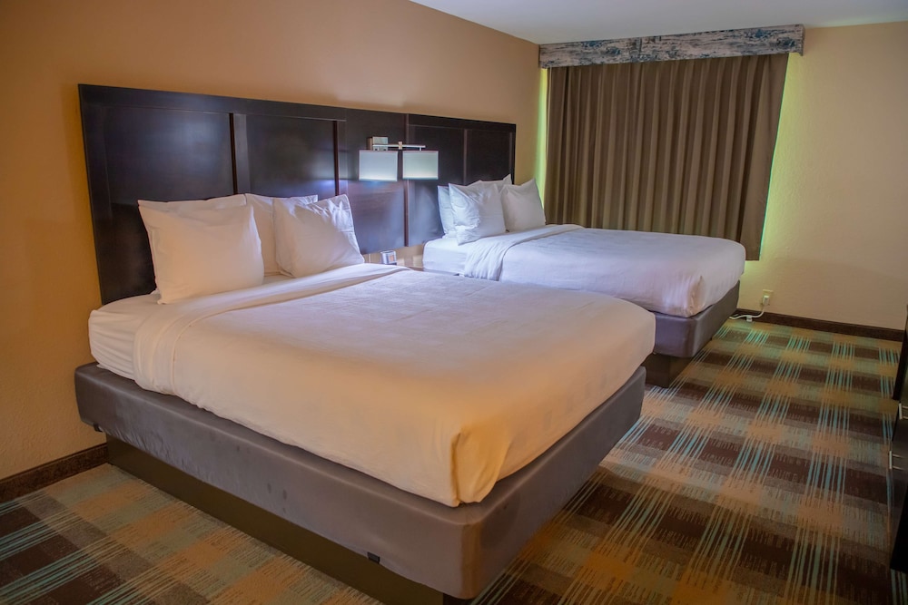 Standard Room, 2 Queen Beds, Non Smoking, Refrigerator & Microwave - Photo 8