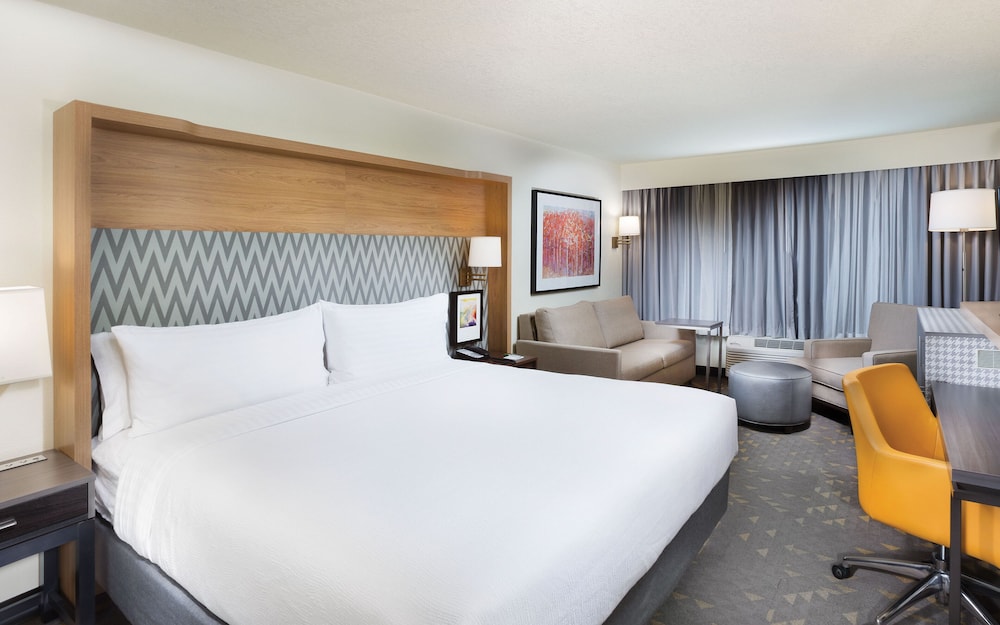 Suite, 1 King Bed - Photo 1