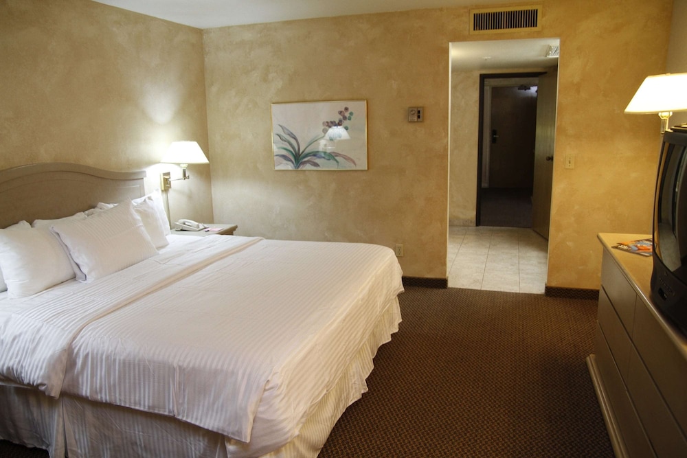 Deluxe Suite, 1 King Bed, Non Smoking (Mobility) - Photo 1