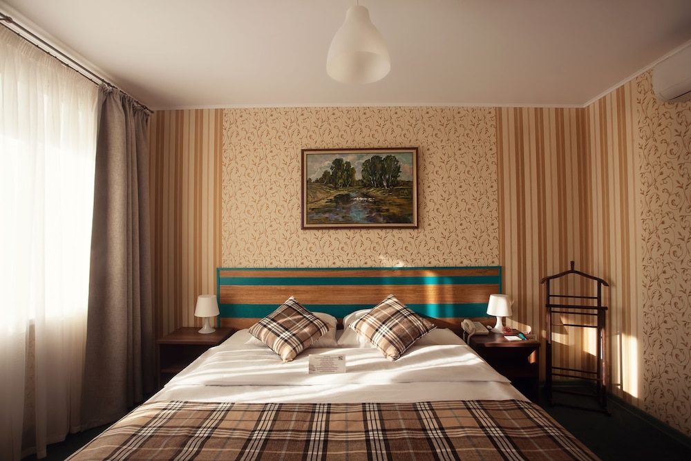 Comfort Double Room, 1 King Bed photo 3