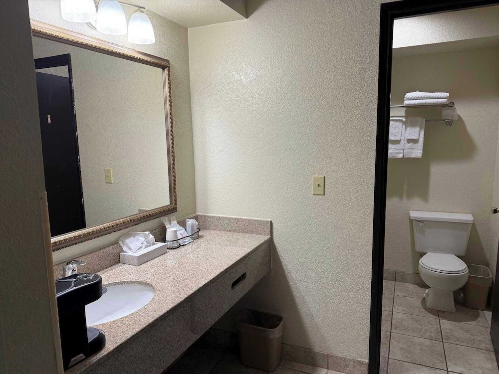 Classic Single Room photo 3