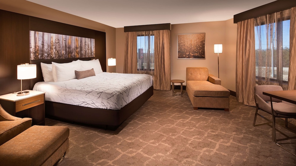 Standard Room, 1 King Bed, Non Smoking, Refrigerator & Microwave (Larger Room;with Sofabed) photo 1