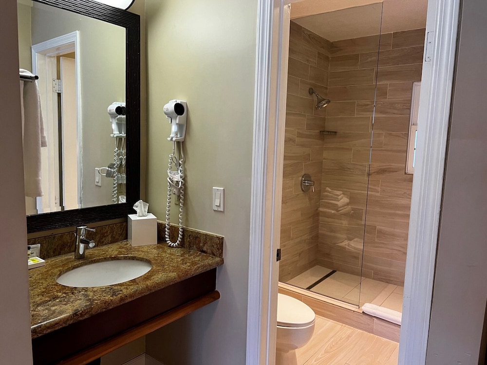 Suite, 1 Queen Bed with Sofa bed