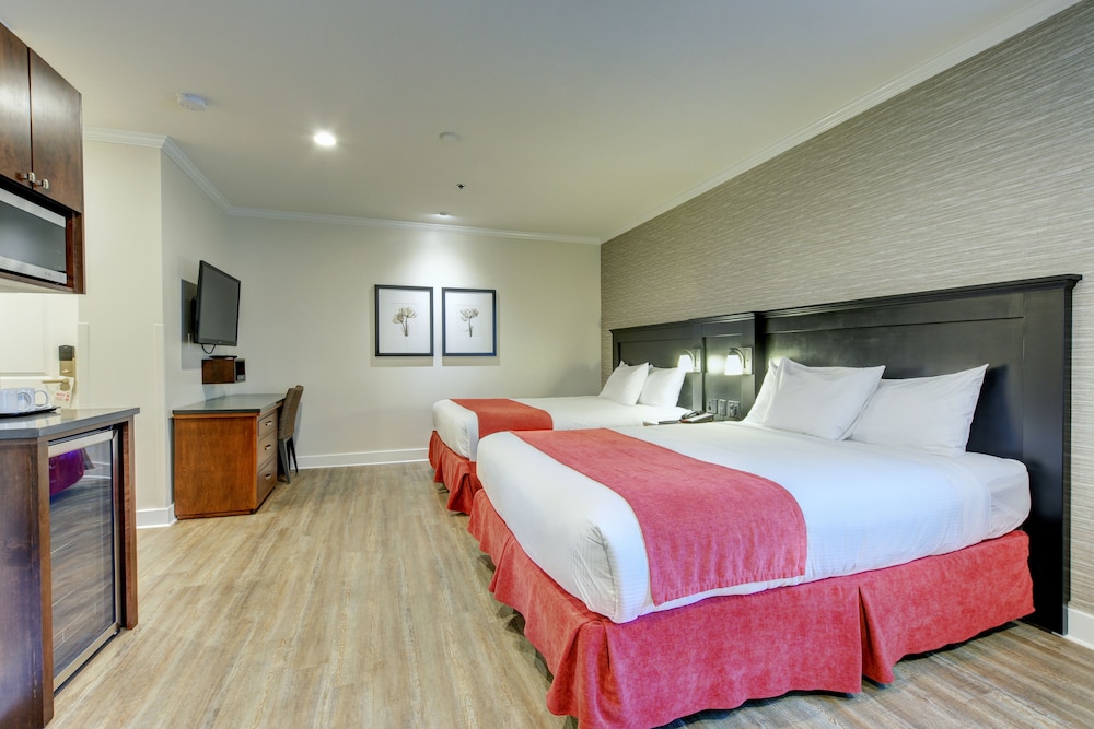 Premium Room, Multiple Beds photo 2