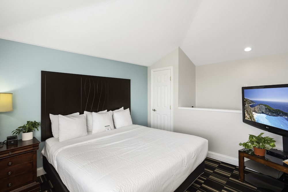 Suite, 1 King Bed with Sofa bed photo 3
