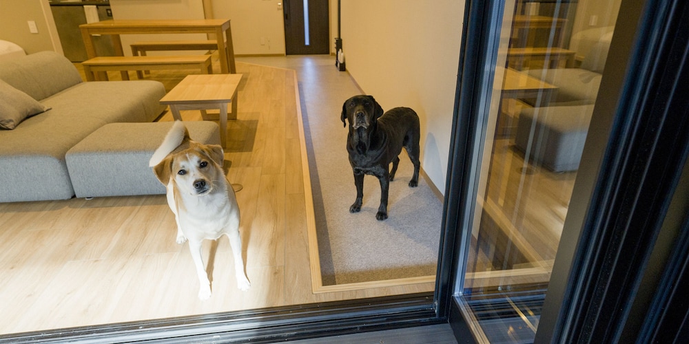 [Dog-friendly] Room for 8 People, Non Smoking - Photo 24