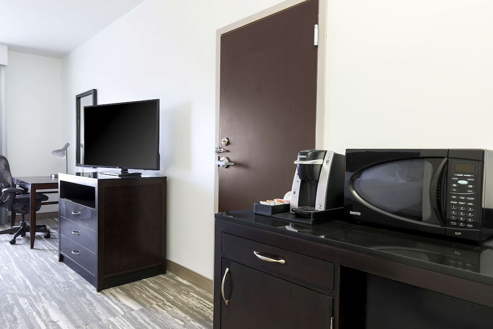 Room, 1 King Bed, Accessible - Photo 4