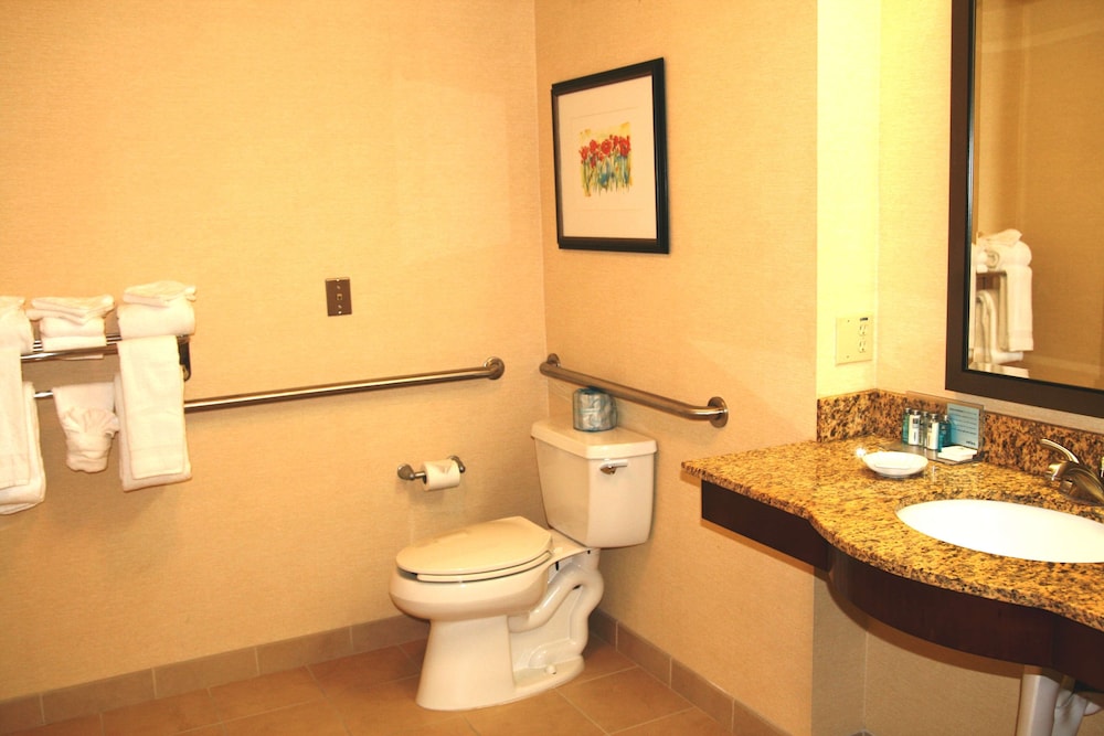 1 King Suite, Accessible with Roll-In Shower - Photo 3