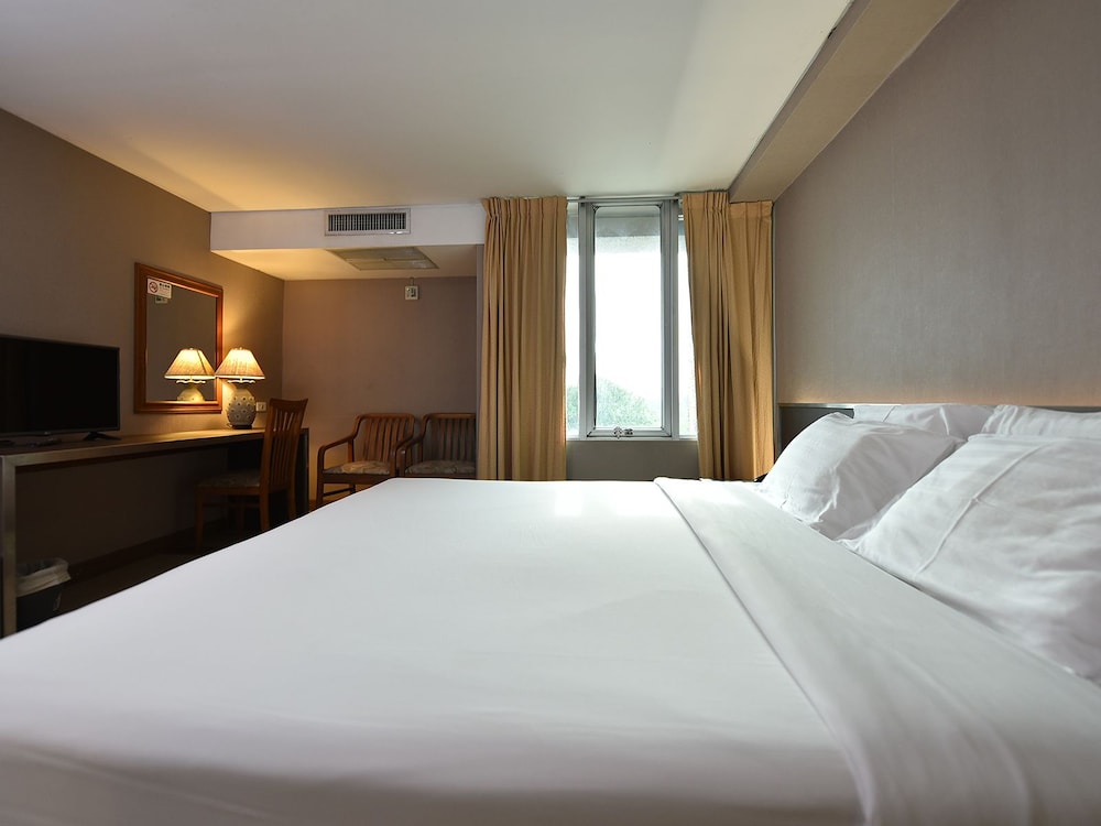 King Room photo 3