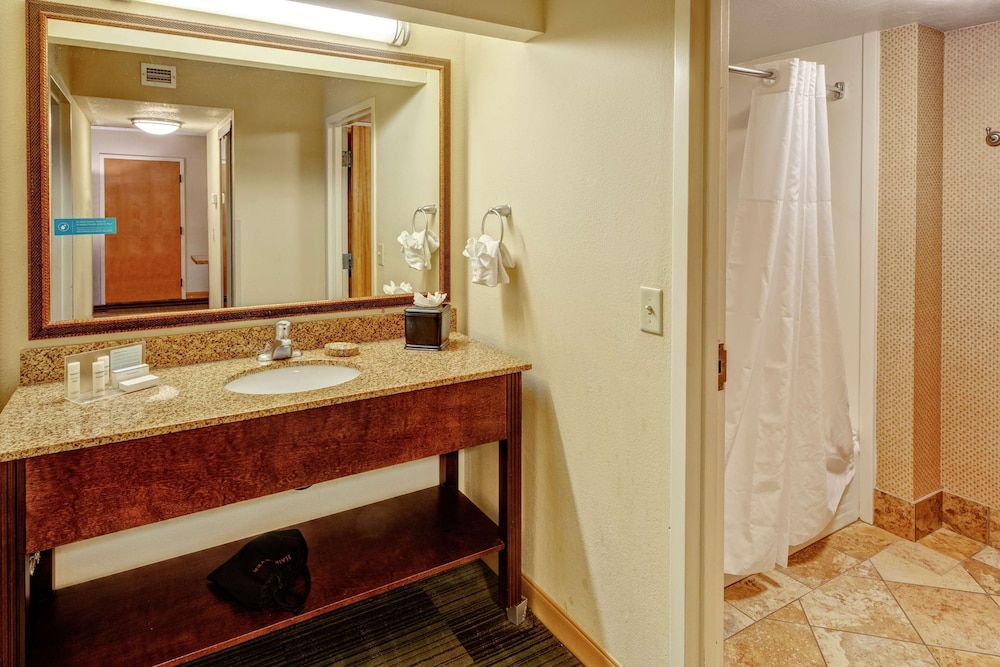 Suite, 1 Bedroom photo 3