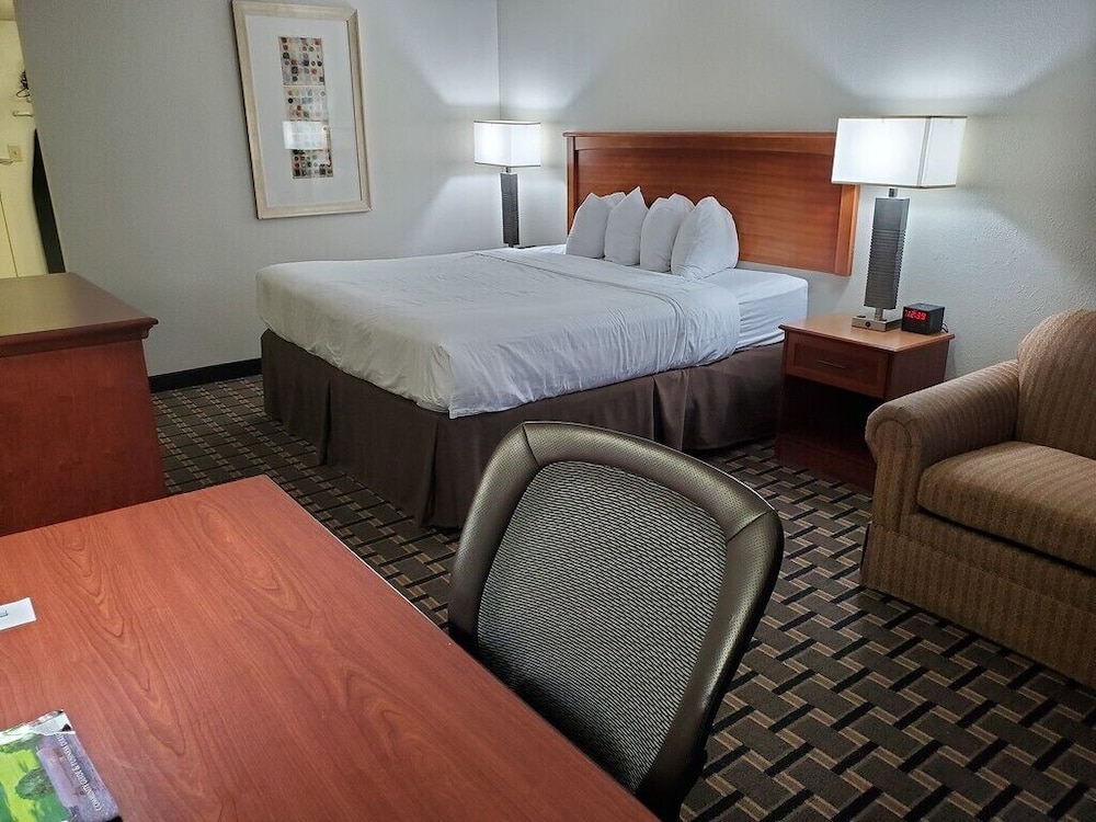 Deluxe Room, 1 King Bed, Non Smoking photo 3
