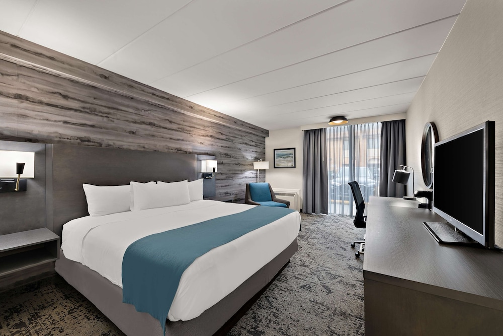 Standard Room, 1 King Bed, Accessible, Refrigerator & Microwave - Photo 1
