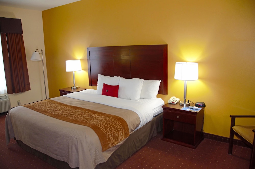 Room, 1 King Bed, Non Smoking - Photo 4
