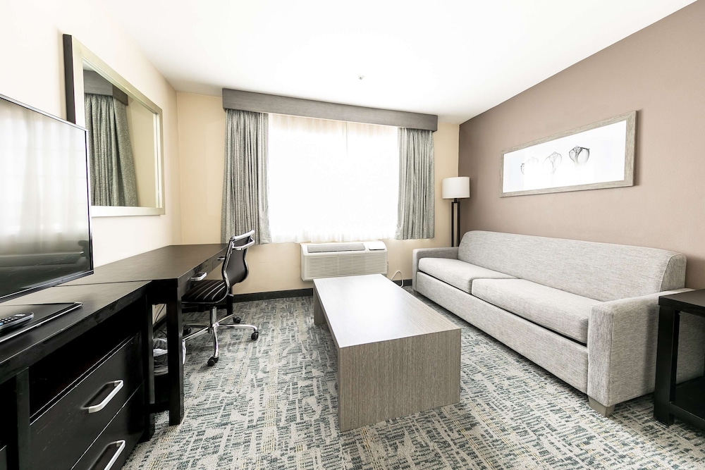 Suite, 1 King Bed, Non Smoking (Living Room) - Photo 4