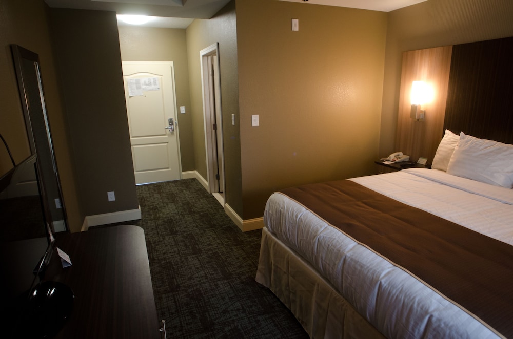 Deluxe Room, 1 King Bed photo 2