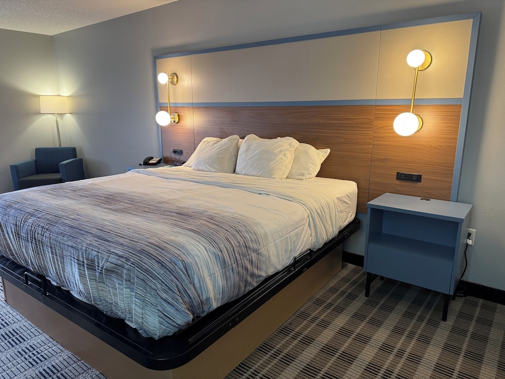 Studio Suite, 1 King Bed, Mobility Accessible, Non Smoking (Roll-In Shower) - Photo 1
