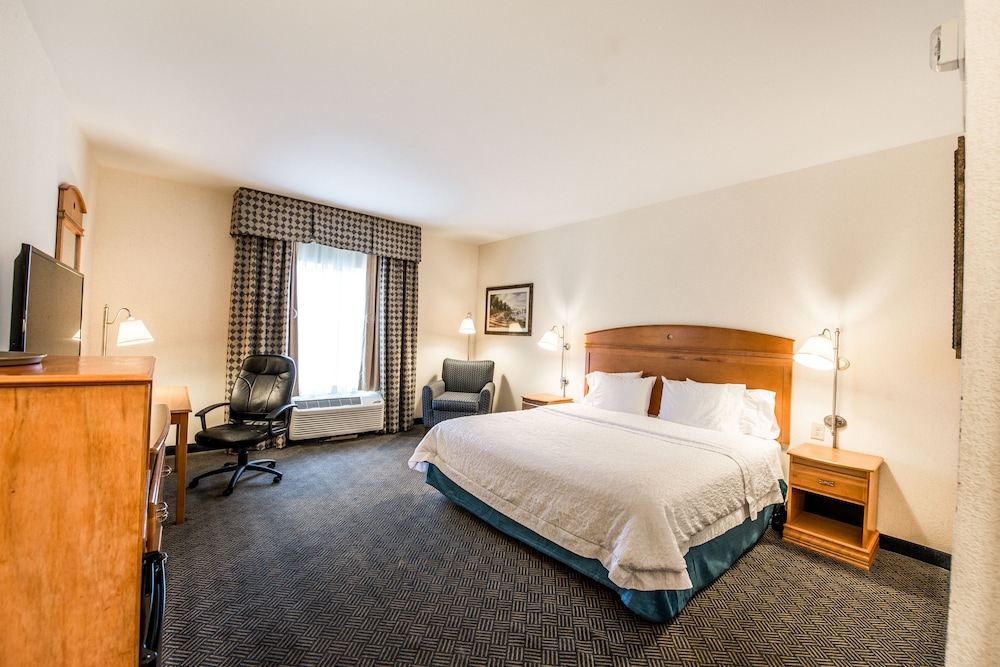 Room, 1 King Bed, Accessible - Photo 1